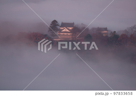 【日本100名城】備中松山城　秋の雲海に浮かぶ城と紅葉19　岡山県高梁市 97833658