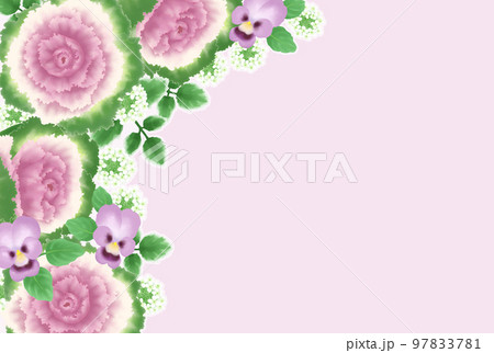 紫の葉牡丹とパンジーのペールパープルフレーム 紫の葉牡丹とパンジーのペールパープルフレーム 97833781