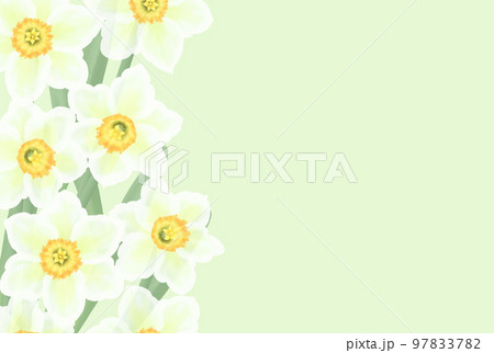 水仙のペールグリーンフレーム 97833782