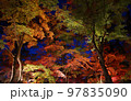長瀞紅葉祭り月の石公園のライトアップされた紅葉 97835090
