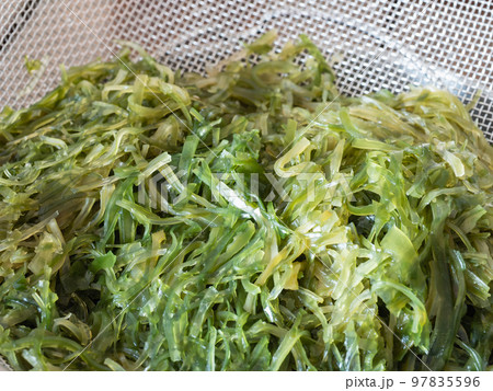 水で戻した刺身昆布のクローズアップ。 97835596