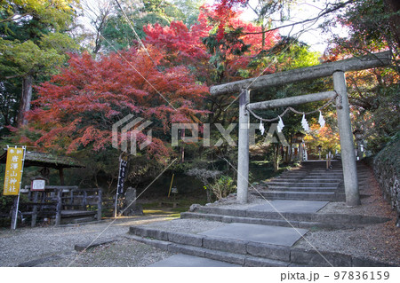 唐澤山神社 97836159