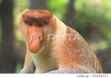 視線 視線 97836557