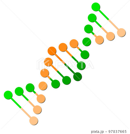 生物細胞を表すDNAの分子構造イラスト 97837665