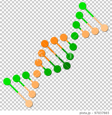 生物細胞を表すDNAの分子構造イラスト 97837665