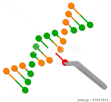 DNA細胞の一部を変更する遺伝子組換イラスト DNA細胞の一部を変更する遺伝子組換イラスト 97837843