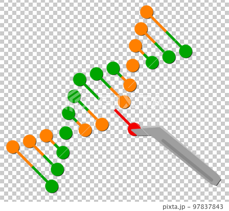 DNA細胞の一部を変更する遺伝子組換イラスト DNA細胞の一部を変更する遺伝子組換イラスト 97837843