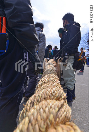 小宮　綱打ち 97837882