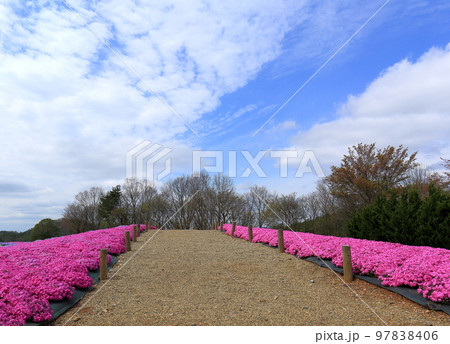 花畑　花夢の里 97838406