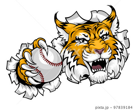 Wildcat Bobcat Baseball Ball Animal Team Mascot 97839184