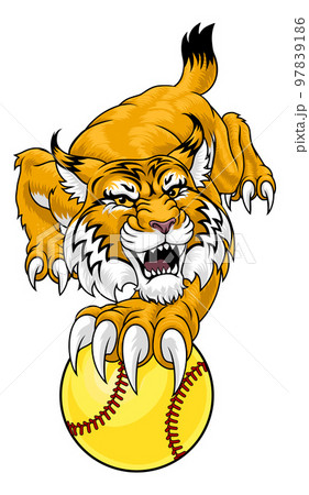 Wildcat Bobcat Softball Animal Sports Team Mascot 97839186