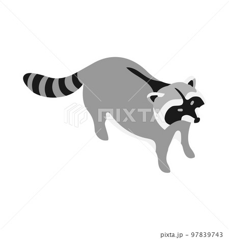 raccoon side silhouette