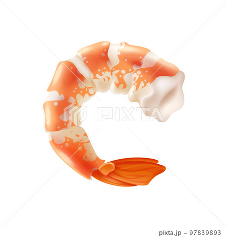 Shrimp Realistic Illustration Shrimp Realistic Illustration 97839893