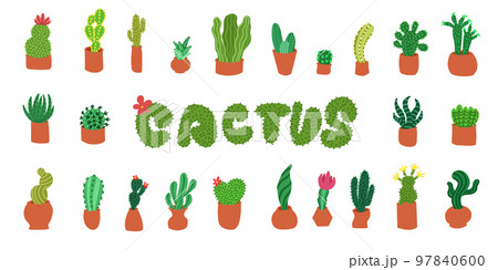 Cacti set. Vector illustrations in cartoon flat style isolated on white background. 97840600