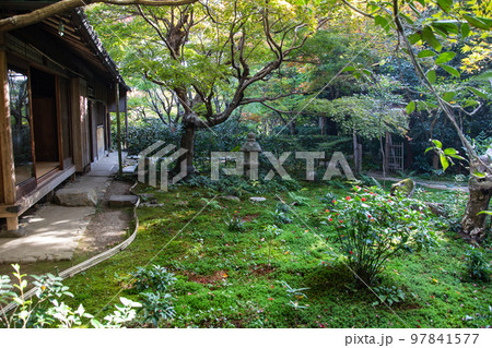 厭離庵の紅葉(京都) 厭離庵の紅葉(京都) 97841577