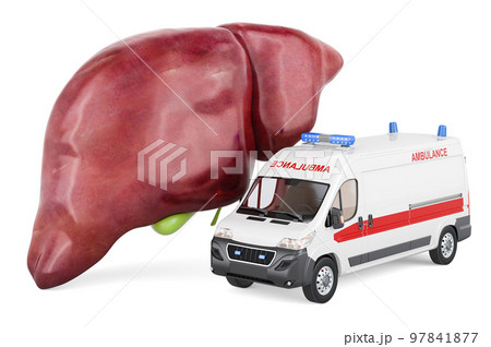 Human liver with ambulance van. 3D rendering 97841877