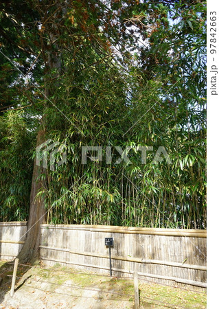 世界遺産 関山中尊寺 世界遺産 関山中尊寺 97842663