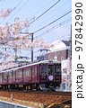 阪急電車　さくら号　桜満開＆快晴 97842990