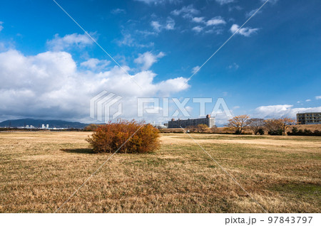 冬の淀川河川公園 冬の淀川河川公園 97843797