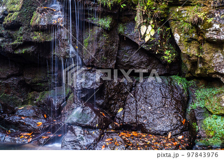 マゼノ渓谷（マゼノ滝）の紅葉　【熊本県阿蘇郡南小国町】 97843976