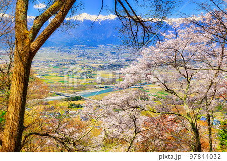 桜咲く安曇野と冠雪の北アルプス 桜咲く安曇野と冠雪の北アルプス 97844032