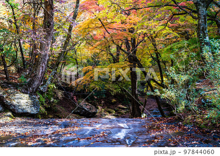 マゼノ渓谷（マゼノ滝上）の紅葉　【熊本県阿蘇郡南小国町】 97844060