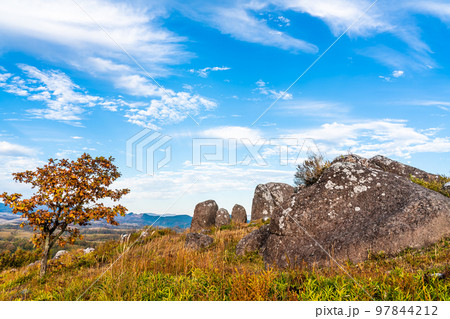 押戸石の丘　草紅葉　朝風景　【熊本県阿蘇郡南小国町】 97844212
