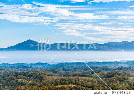 押戸石の丘　草紅葉　朝風景　雲海の眺め　【熊本県阿蘇郡南小国町】 97844312