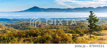 押戸石の丘 草紅葉 朝風景 雲海の眺め パノラマ 【熊本県阿蘇郡南小国町】 押戸石の丘 草紅葉 朝風景 雲海の眺め パノラマ 【熊本県阿蘇郡南小国町】 97844331
