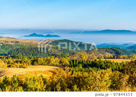 押戸石の丘 草紅葉 朝風景 雲海の眺め 【熊本県阿蘇郡南小国町】 押戸石の丘 草紅葉 朝風景 雲海の眺め 【熊本県阿蘇郡南小国町】 97844353