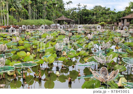 東南植物楽園（沖縄県） 97845001