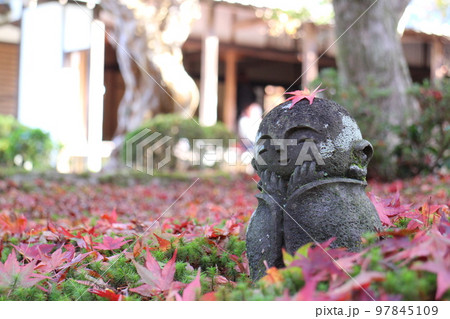 京都　圓光寺の紅葉と地蔵 97845109