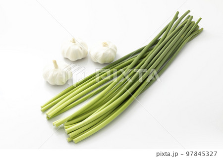 にんにくの芽とにんにく にんにくの芽とにんにく 97845327
