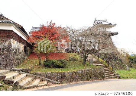 岩村歴史資料館の景観 97846100