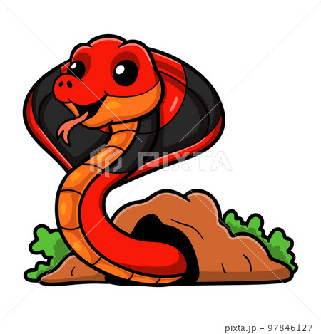 Cute red spitting cobra cartoon Cute red spitting cobra cartoon 97846127
