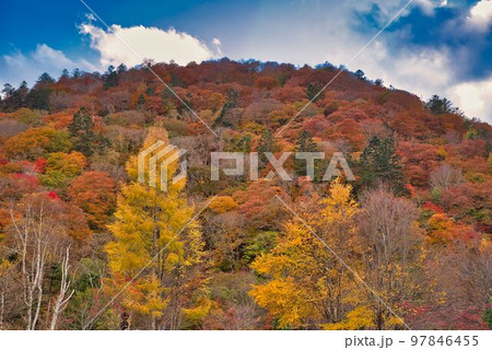 いろは坂の紅葉~その一 いろは坂の紅葉~その一 97846455