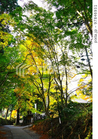 世界遺産 関山中尊寺 地蔵堂 世界遺産 関山中尊寺 地蔵堂 97846931