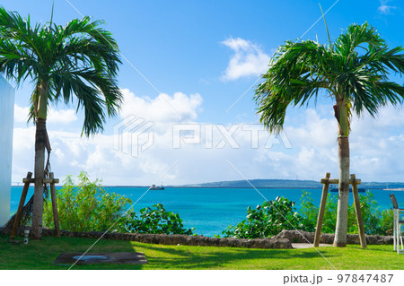 沖縄・宮古島 エメラルドブルーの海とヤシの木 97847487