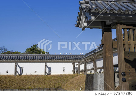 小田原城址公園 馬出門屋根のカモメたち 小田原城址公園 馬出門屋根のカモメたち 97847890