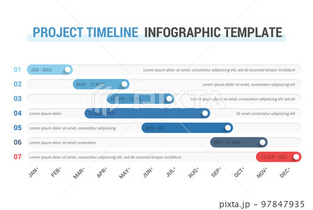 Timeline Infographics Timeline Infographics 97847935