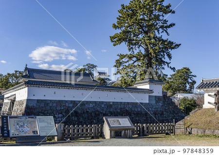 小田原城址公園　馬屋曲輪から見る天守閣 97848359