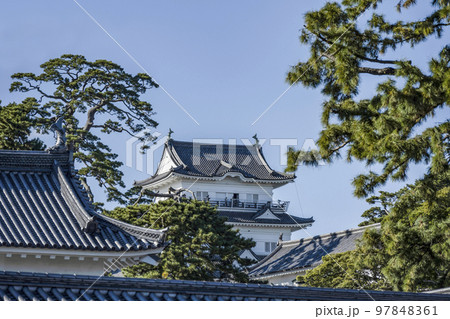 小田原城址公園　馬屋曲輪から見る天守閣 97848361