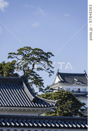 小田原城址公園　馬屋曲輪から見る天守閣 97848363