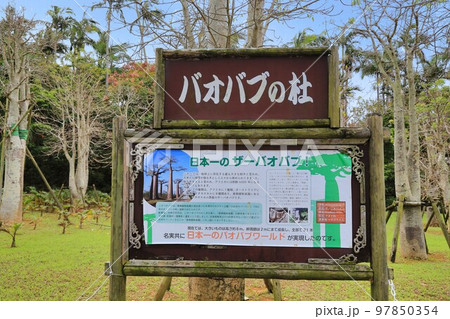 東南植物楽園　バオバブ（沖縄県） 97850354