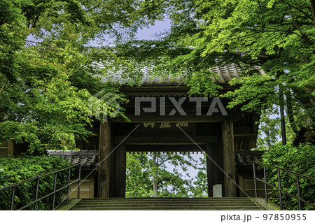 鎌倉市　円覚寺　総門 97850955