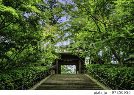 鎌倉市 円覚寺 総門 鎌倉市 円覚寺 総門 97850956