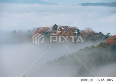 【日本100名城】備中松山城　展望台から見た秋の雲海の天守と櫓と紅葉16　岡山県高梁市 97851065