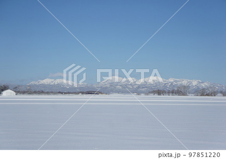 北海道の真冬の田んぼの風景 97851220