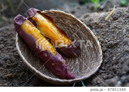 Roasted sweet potato in basket 97851389