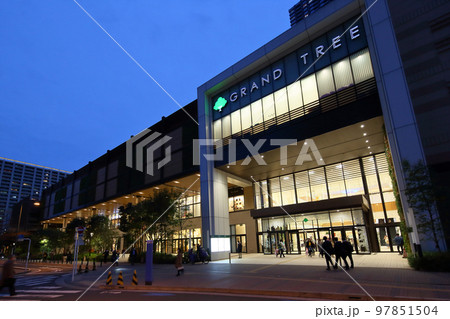 夜の武蔵小杉グランツリー 97851504